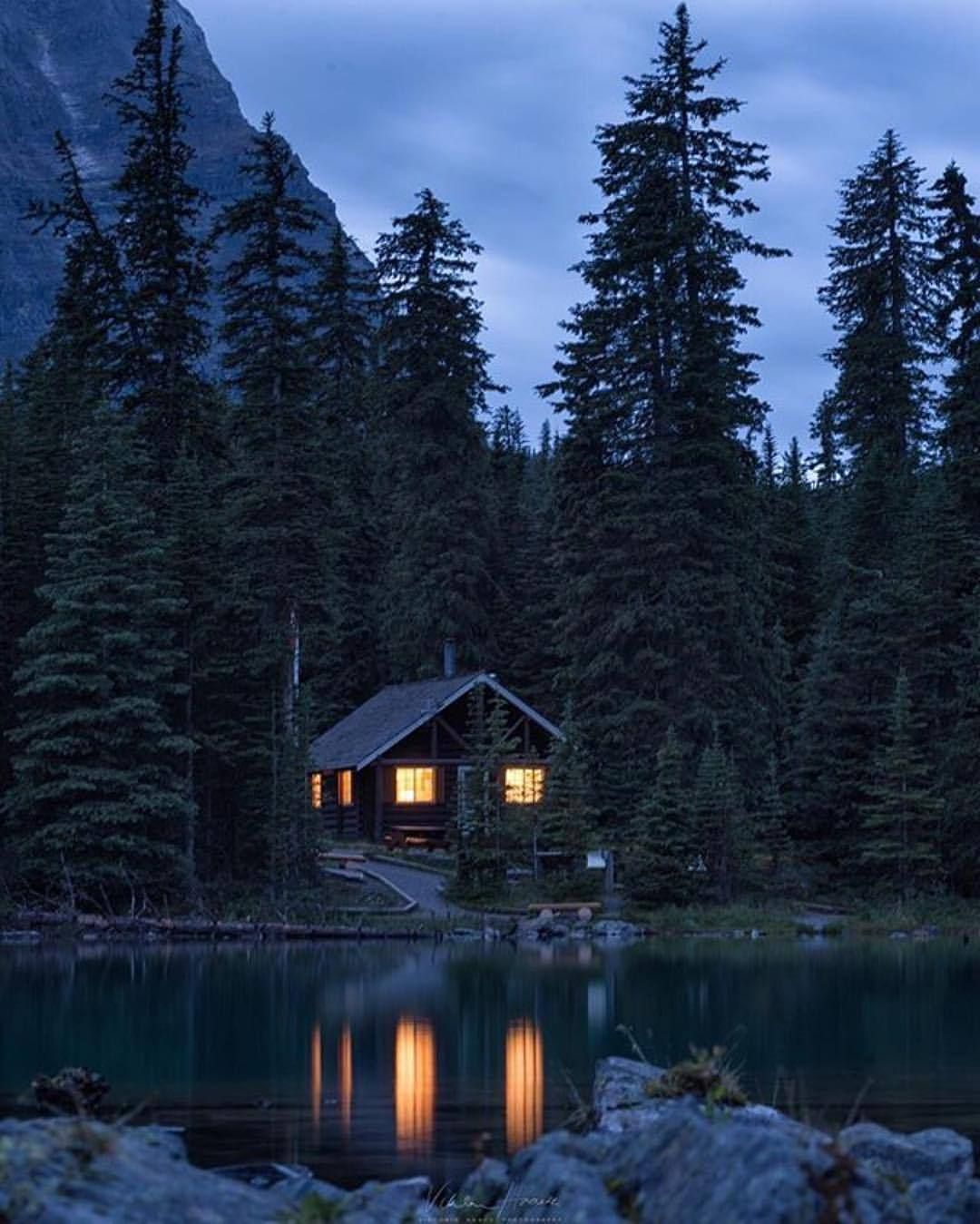 +15 cabañas en el bosque con lago. - Casas de Campo